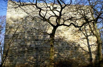 05 Die Schildmauer: 23 m breit, 20 m hoch, fast 3 m dick.