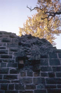 19 Zwischen Burgtor und innerer SW-Ecke hoch oben an der Ringmauer Reste der steinernen Schiene für ein Fallgatter am Eingang ins Burghaus.