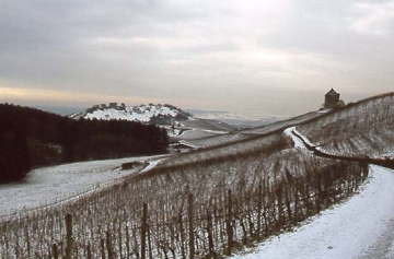 01 "Einen Steinwurf entfernt" voneinander zwei Burgen: rechts Wildeck, hinten auf einem lang gezogenen Höhenrücken Helfenberg.