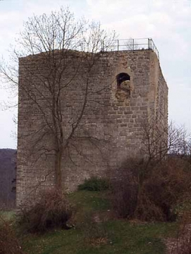 09 Die Westwand ist die auf Hausbreite verkürzte, 3,5 m dicke Schildmauer mit einer oberen, letztlich ungeklärten, portalartigen Öffnung. Vielleicht bestand ein funktionaler Zusammenhang mit dem Zutritt zum Saal des 2. Obergeschosses. Vor der Burg im Westen ein Halsgraben, noch teilweise zu erkennen.