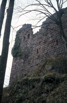 09 Die Ostwand des Wohnbaus (Palas und Saalbau).