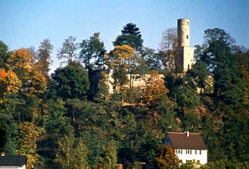 02 Ruinen vom Wald erobert.