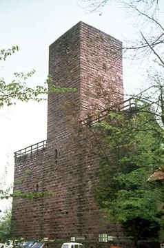 19 Burg Liebenzell. Überraschender Befund: Der Löwensteiner Bergfried war ohne bauliche Zäsur 'glatt' in die vorbeiziehende Mantelmauer eingebunden wie auf Burg Liebenzell! Wirkte hier wie dort eine "Calwer Bauhütte"? "Die offenkundige Verwandtschaft mit Liebenzell interessiert" (Dr. Bodo Cichy am 22.9.1977) an "diesem säkularen Fund ...dem archäologischen Großfund" (Dr. Walther-Gerd Fleck am 4.11.1977). Hingewiesen sei hier allerdings auf Burg Tierberg/Hohenlohe mit ähnlichem Befund.