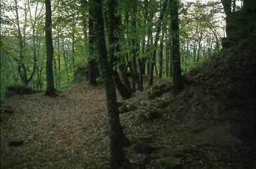 07 Am tiefsten Punkt die Unterburg: links sind Strebepfeilerreste der südlichen, heute völlig abgegangenen Ringmauer zu erkennen, rechts der Anstieg des Burgfelsens.