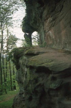 10 In die Felsflanke gehauener langer Gang der Unterburg. Balkenlöcher im Fels deuten auf gegenüber hinzugefügte Begrenzung des Ganges, vielleicht eine Holzkonstruktion.