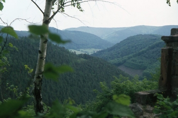 15 Ausblick vom höchsten Punkt der Felsenburg.