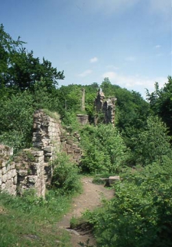 11 Auf dem Felsburren.