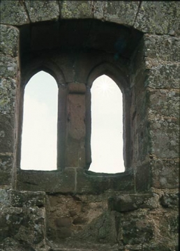 15 Gotisches Doppelfenster im Palas.