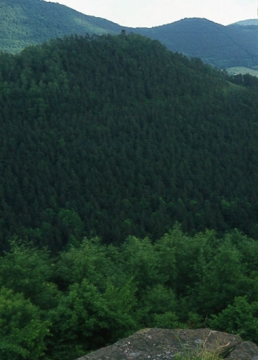 17 Ausblick überirdisch hinüber zur Burg Alt Windstein.