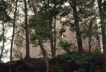 11 Blick durch den Wald auf die Spesburg von Nordost: rechts die Schildmauer.
