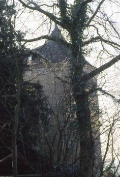 04 Turmriese im Gestrüpp, weder Bergfried noch Donjon. Er diente Wohnzwecken, aber auch anderen geheimnisvollen Aufgaben. Durch und durch ein Individualist! (Bilder 34, 38-42,48,49).