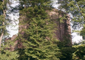 01 Vom Tal aus kaum zu entdecken, tauchen plötzlich auf einem Bergsporn, 80 m über dem Neckar, die stattlichen Burgreste der Stolzeneck auf.