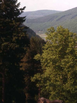 13 Blick von der Wehrplatte der Schildmauer in das Odenwälder Neckartal.