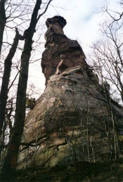 01 Der gewaltige Felsabsturz des Burgbergs, der "Dantzfelsen", Tanzplatz. Stimmte hier unten Blondel seine Lieder für Richard Löwenherz an? 1193 "wurde der König auf die Burg Trifels gebracht und dort in lockerer Haft festgehalten" (Csendes 1993, 126).