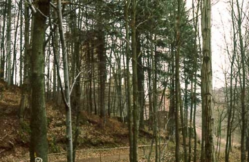 02 Vor der südlichen Zugangsseite zwei Halsgräben.