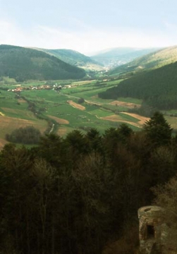 20 Ausblick von der Wehrplatte des Bergfrieds.