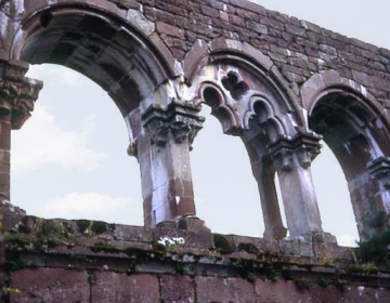 Ruine Wildenberg