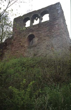 38 Der Palas: zwei übereinander errichtete, 8/9 x 22,50 m große Säle ab 1170 bzw. 1219.