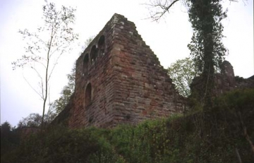 41 Die Palasruine von Nordosten.