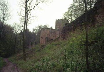 46 Die Ostflanke der Wildenberg.